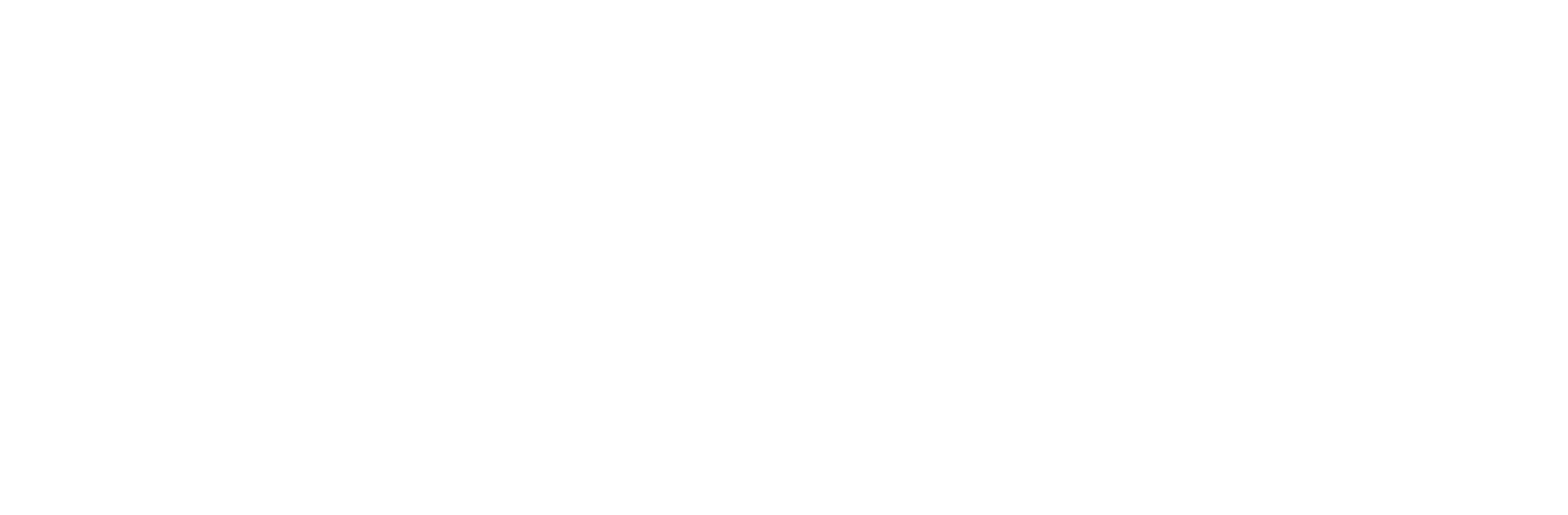 SVO Group